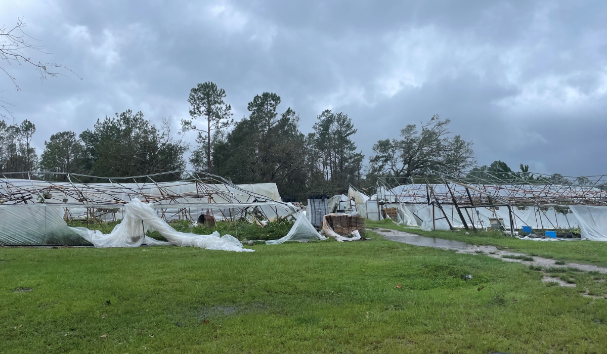 Hurricane Recovery - Be Ready for What Comes After