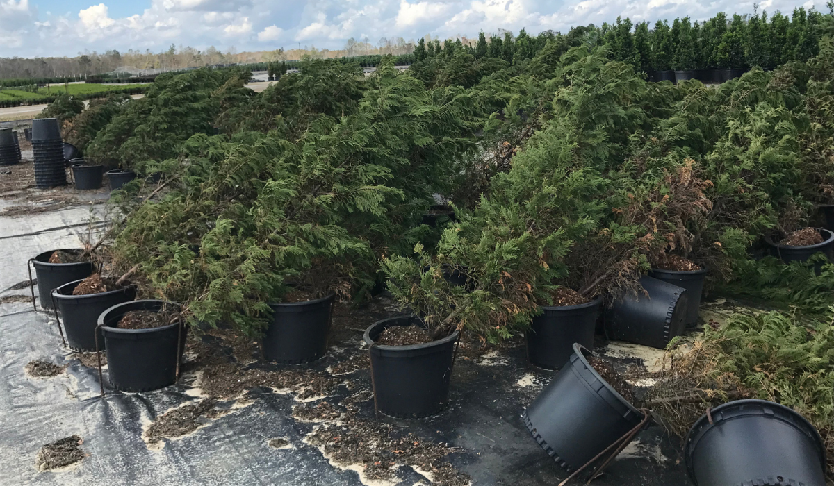 Hurricane Recovery - Be Ready for What Comes After