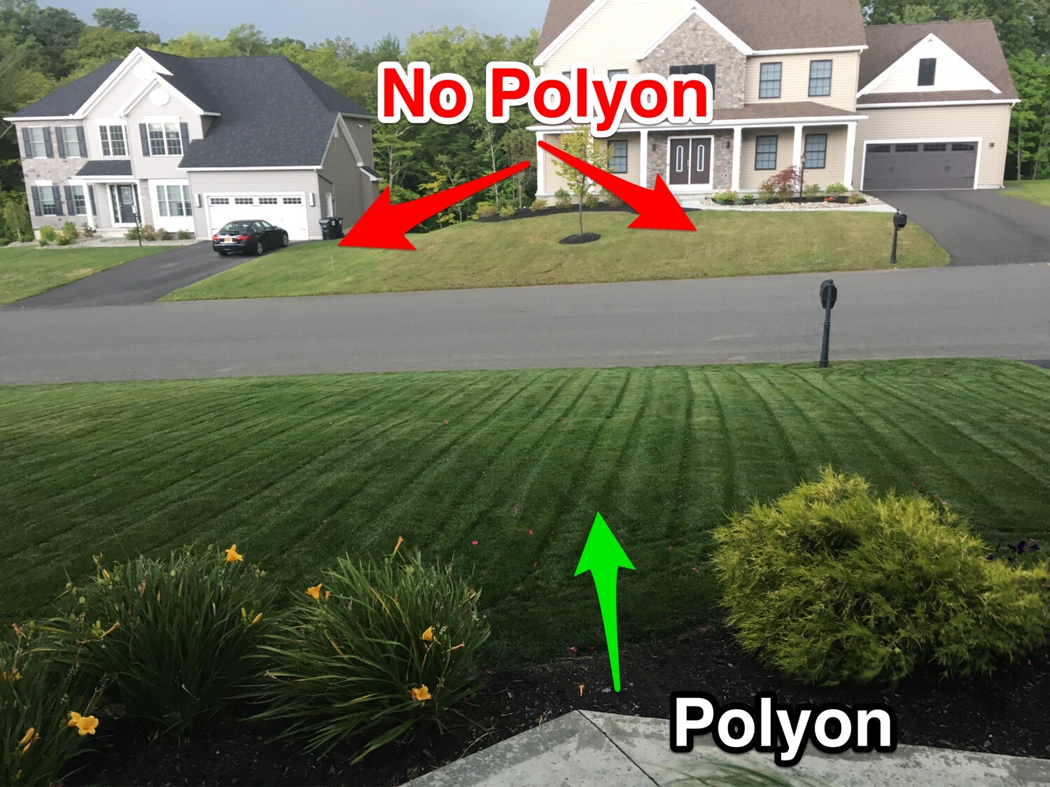 Why Put POLYON® Controlled-Release Fertilizer on Dormant Turf?