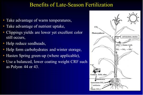 Fall Fertilizer Boost for Your Turf
