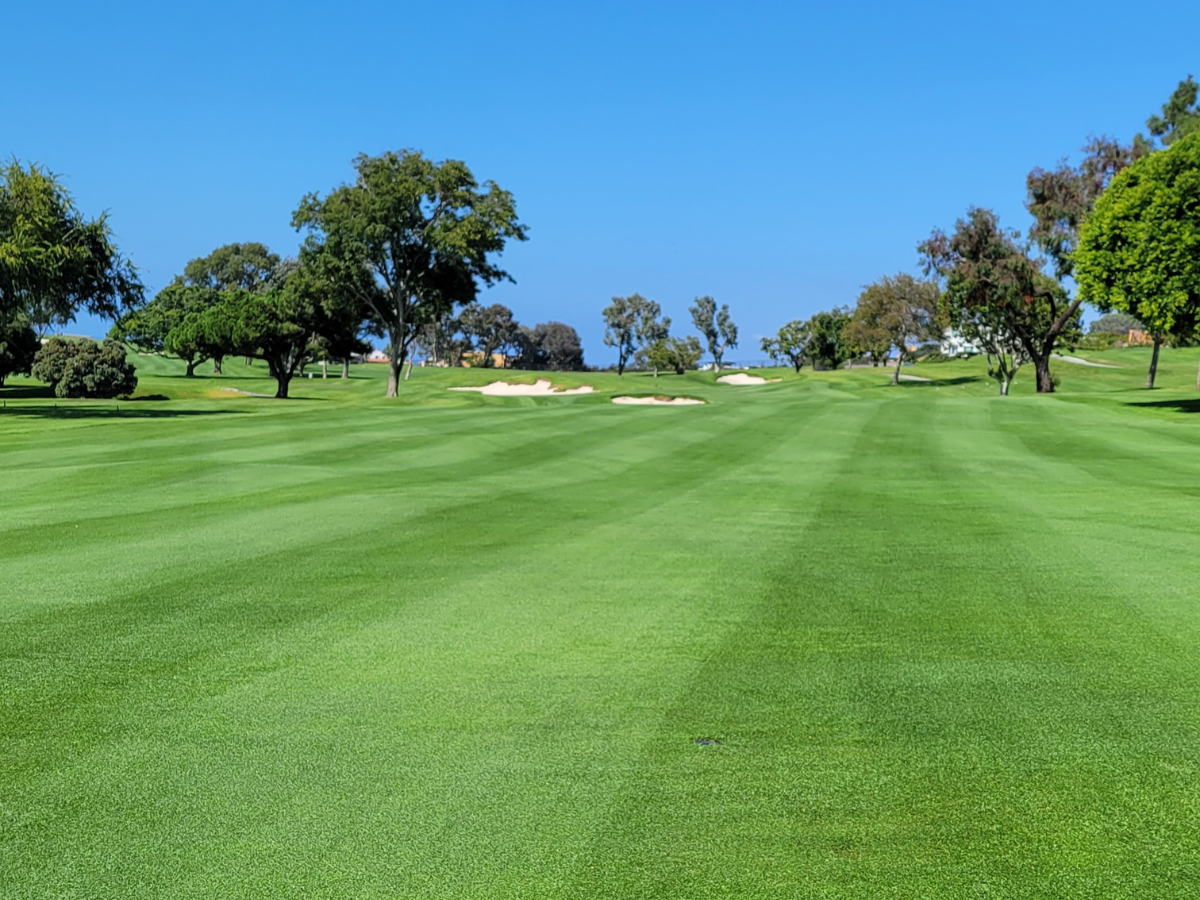 sachin and babi light blue dress Welcome to La Jolla Country Club main image 0