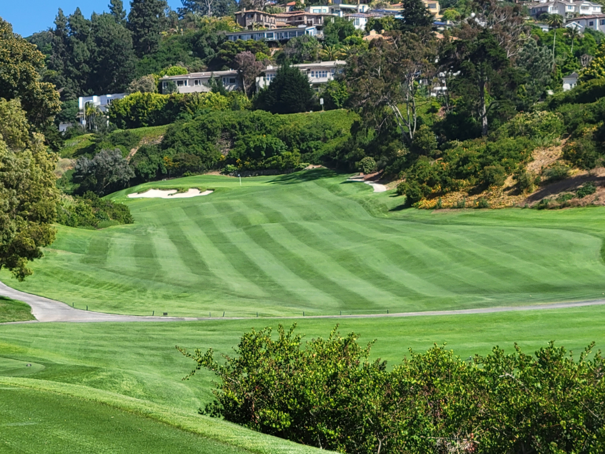 La Jolla Country Club - A Kikuyugrass Marvel