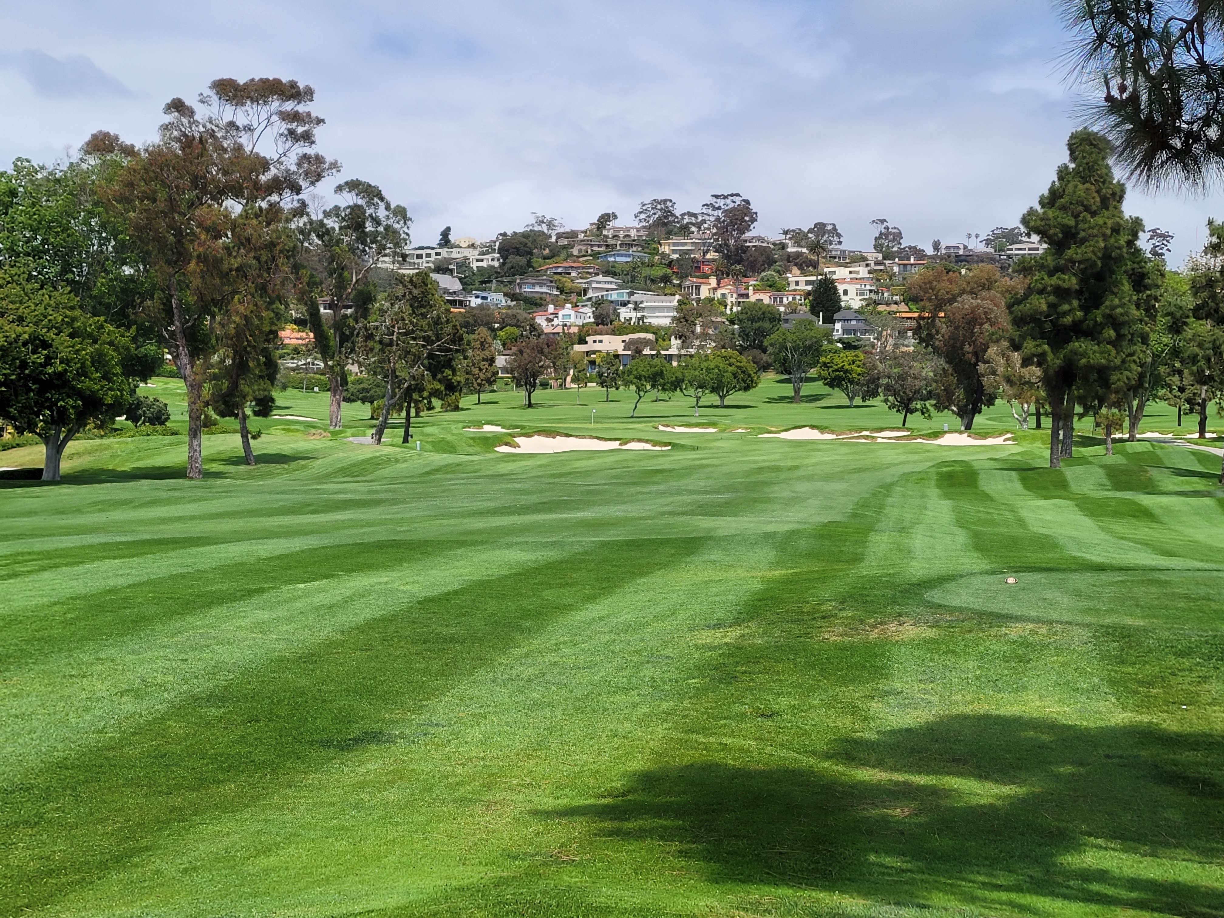 La Jolla Country Club - A Kikuyugrass Marvel