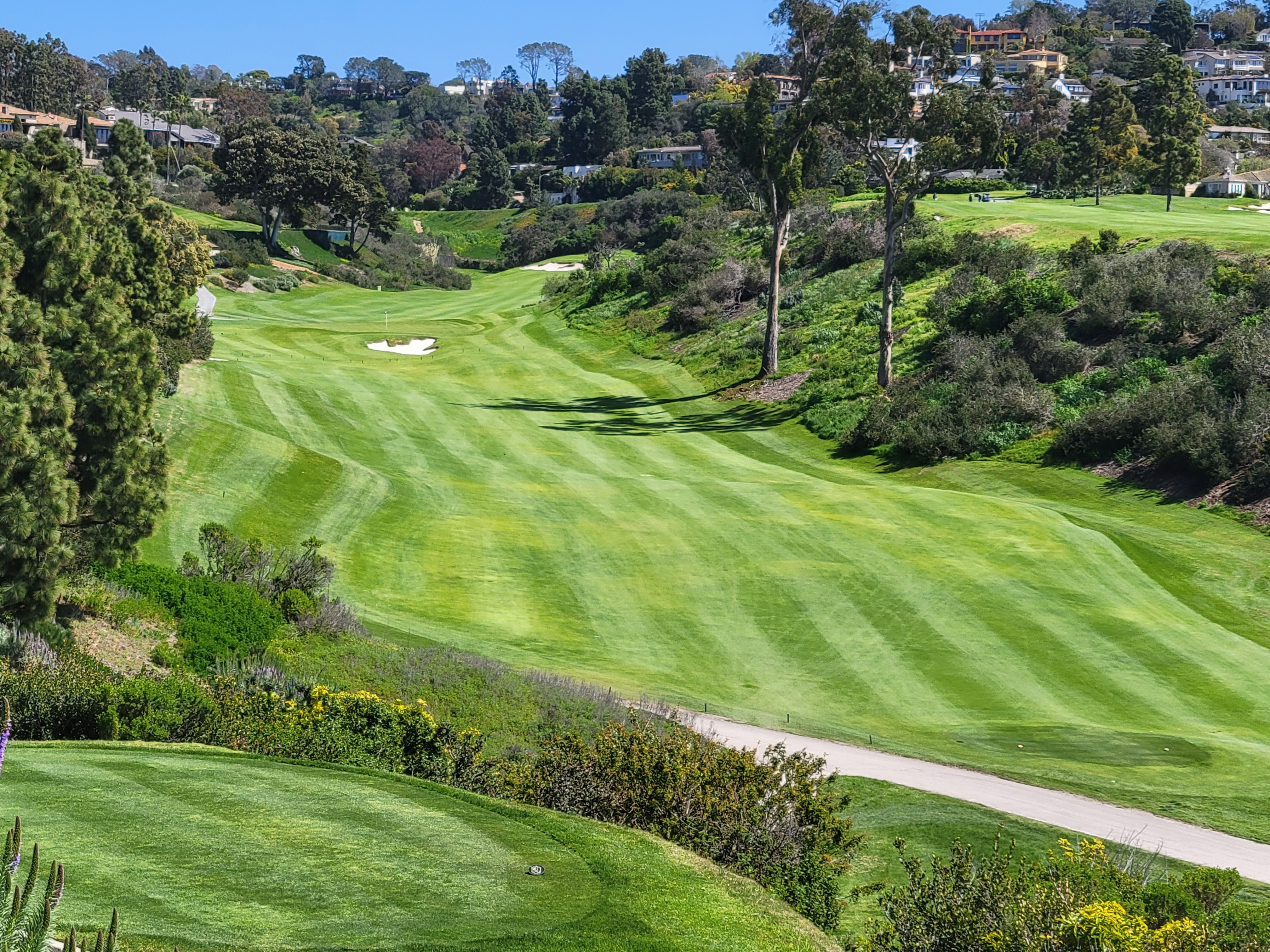 La Jolla Country Club - A Kikuyugrass Marvel