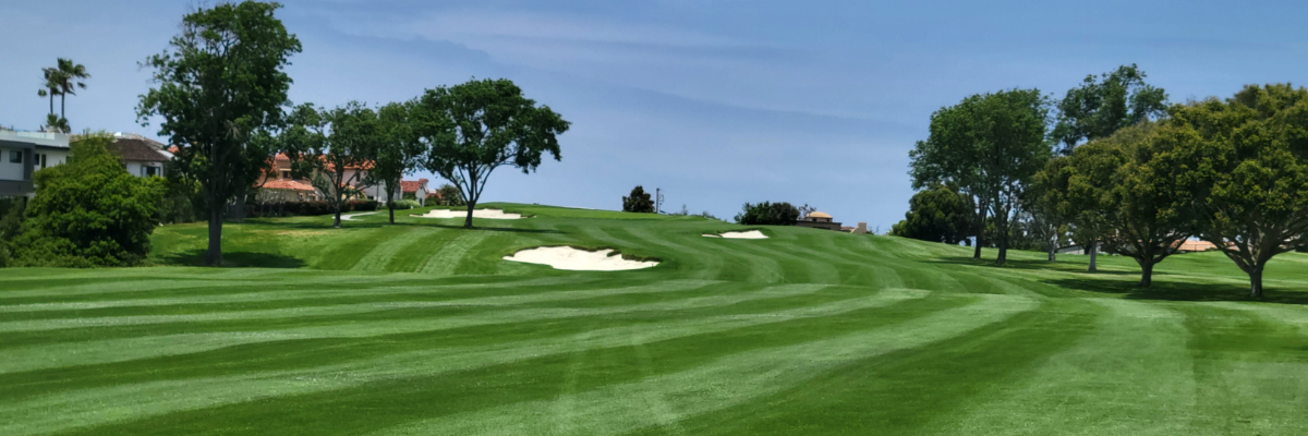 La Jolla Country Club - A Kikuyugrass Marvel