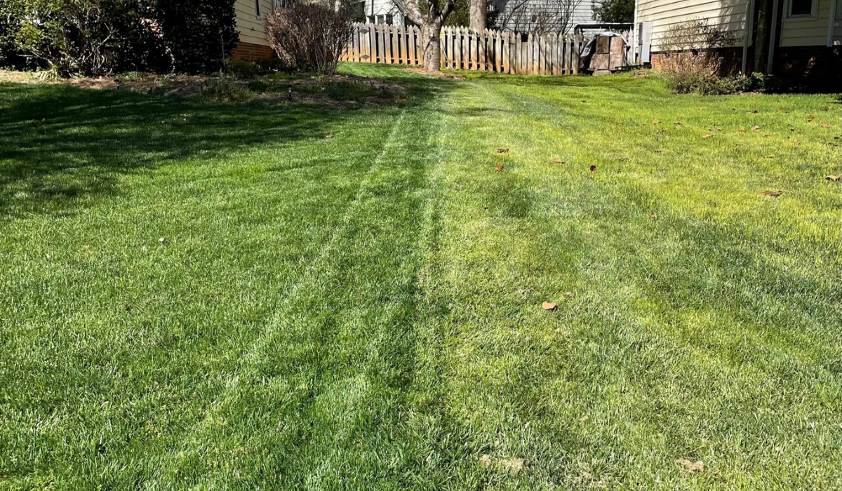Lawncare BMPs - Fall Seeding, Watering and Fertilization