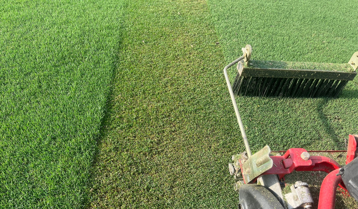 Lawncare BMPs - Fall Seeding, Watering and Fertilization