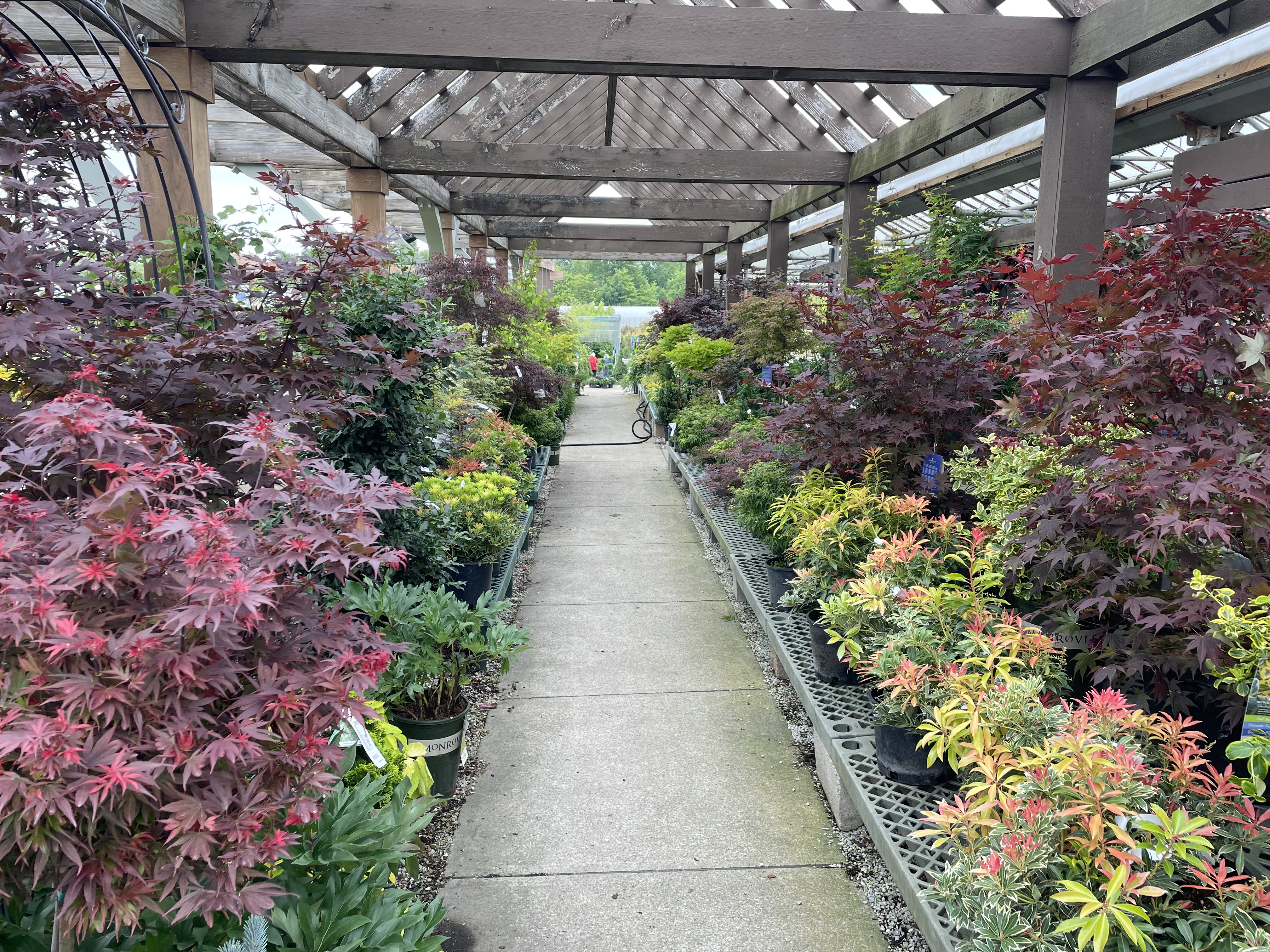 Market Indicators of Success for Horticulture