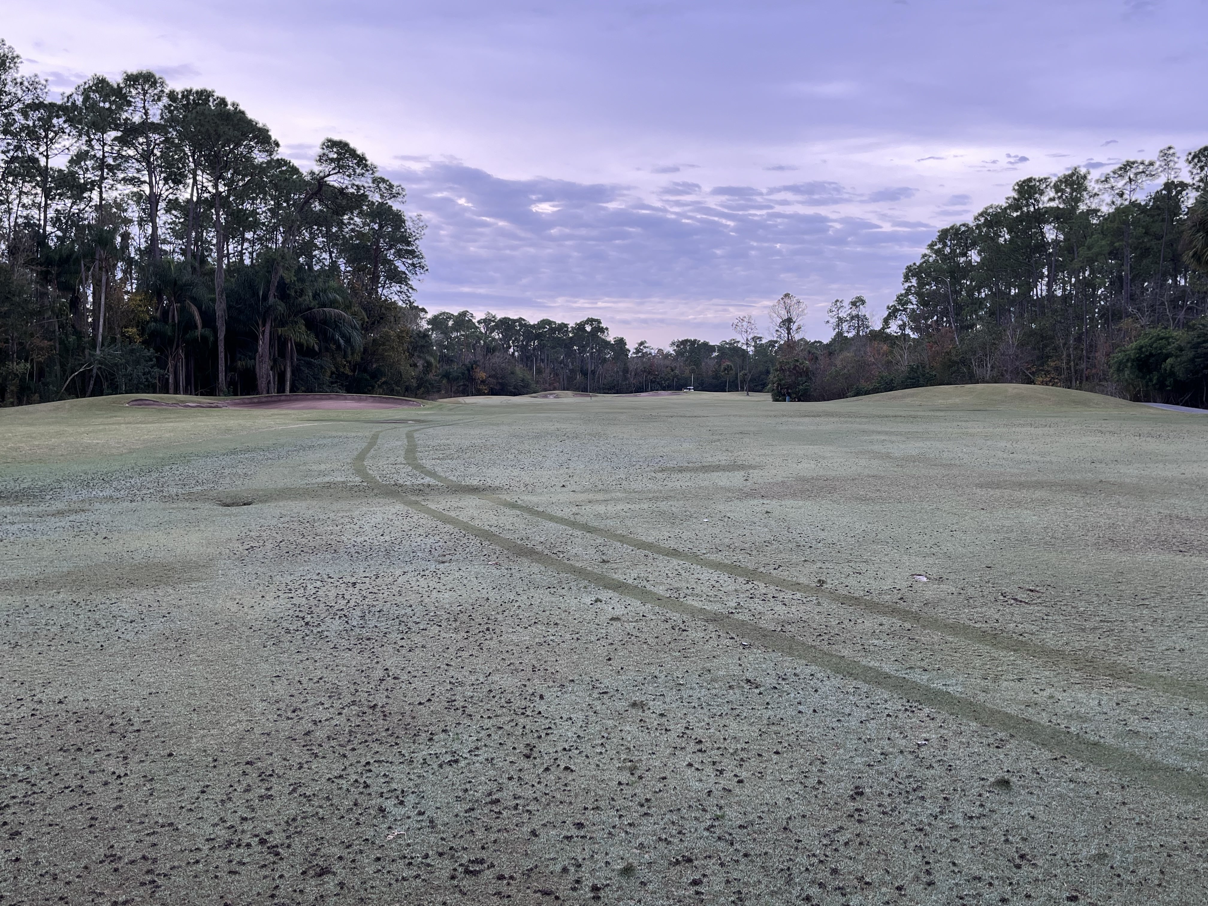 Figure 1 Fairway Turf Pre PAR® SG Application