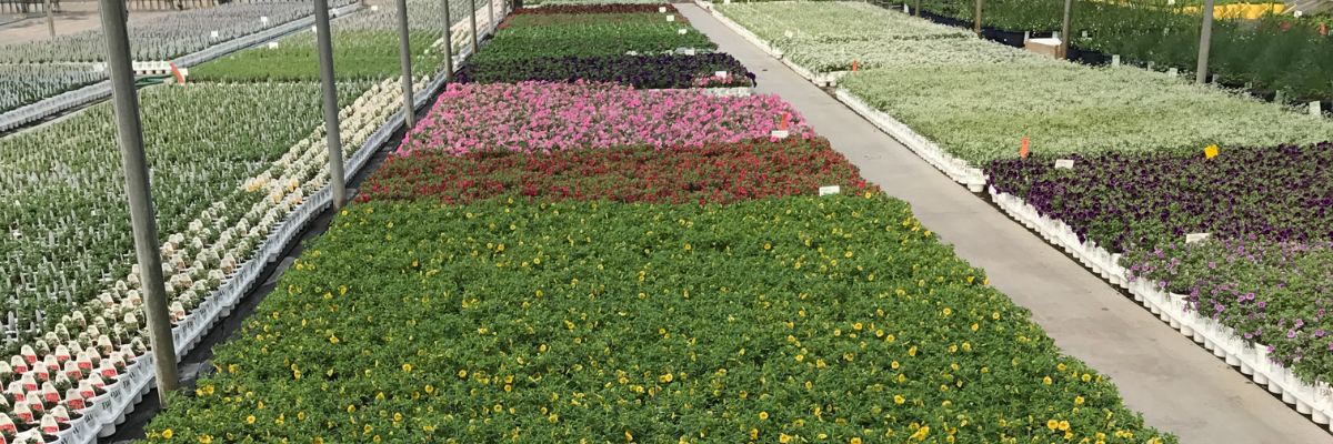 Plant Growth Regulators and Labor for Horticulture