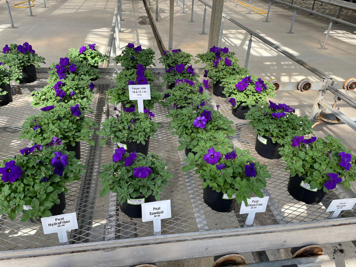Harrell's POLYON® 18-6-12 Mini NPK