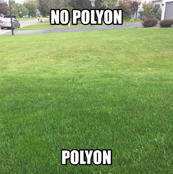 Boosting Efficiency and Saving Labor Costs: How POLYON® Fertilizer is a Game-Changer for Lawn Care Operators