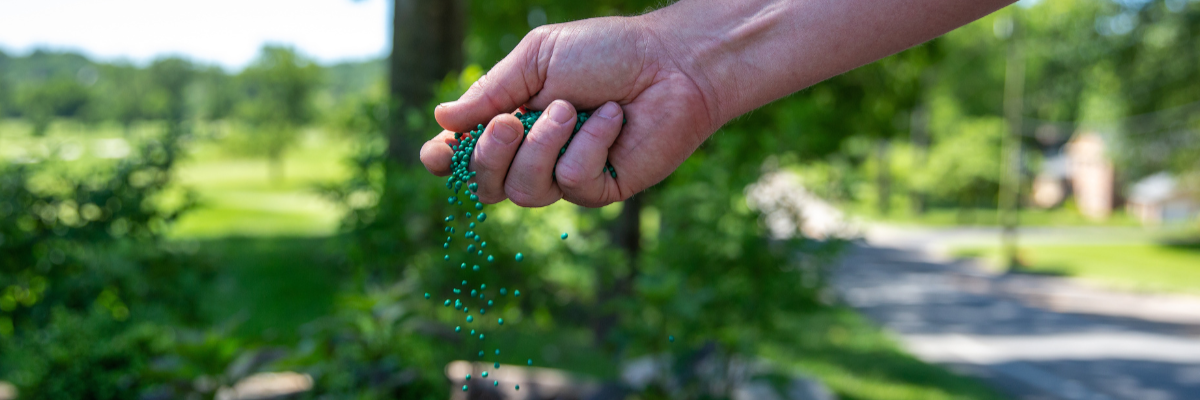 POLYON® Controlled-Release Fertilizer Improves Labor Efficiency