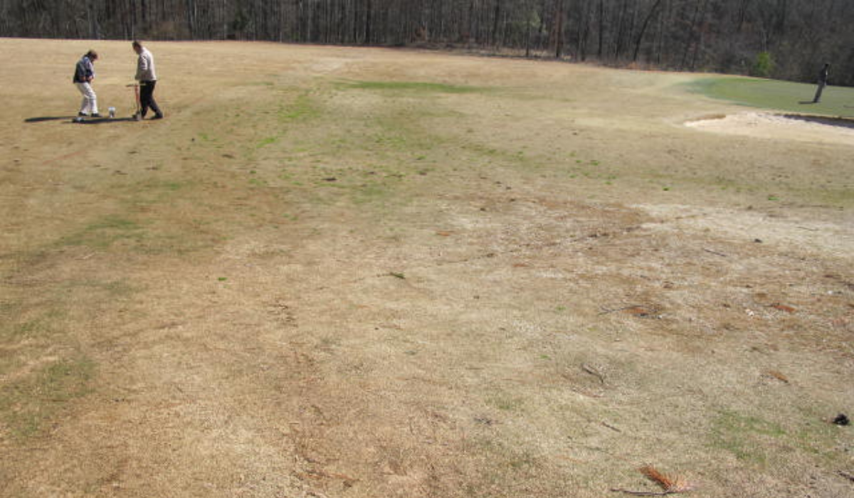 <em>Poa annua</em> Management in Dormant Bermudagrass - What's the Answer