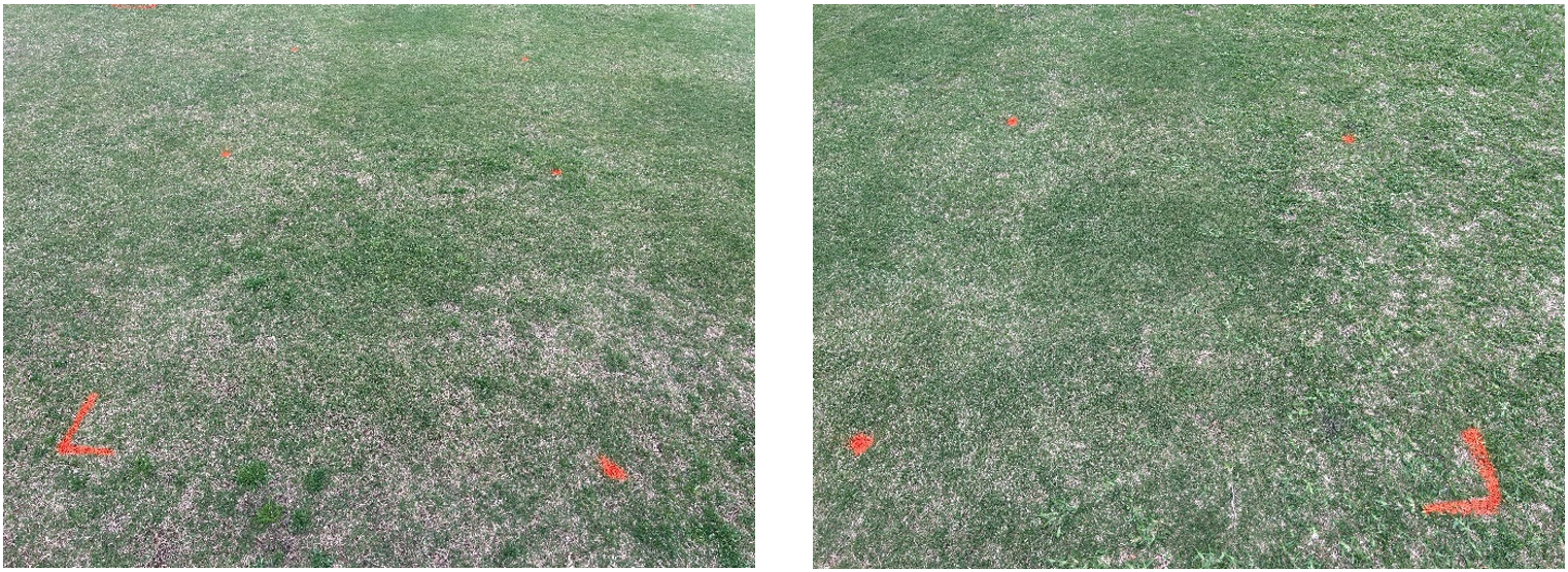 <em>Poa annua</em> Management in Dormant Bermudagrass - What's the Answer