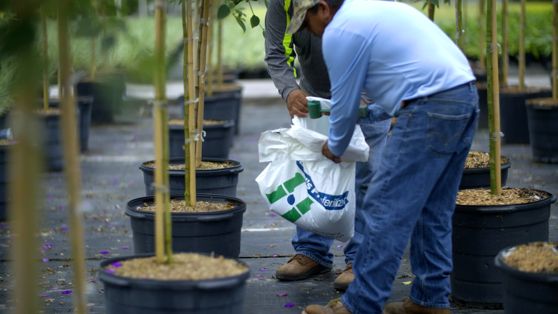 POLYON® Controlled-Release Fertilizer Improves Labor Efficiency