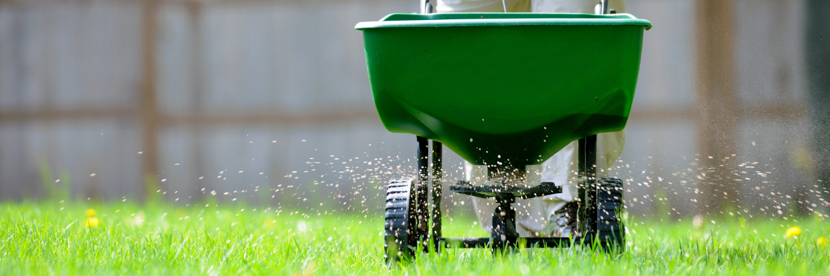 Why Put POLYON® Controlled-Release Fertilizer on Dormant Turf?
