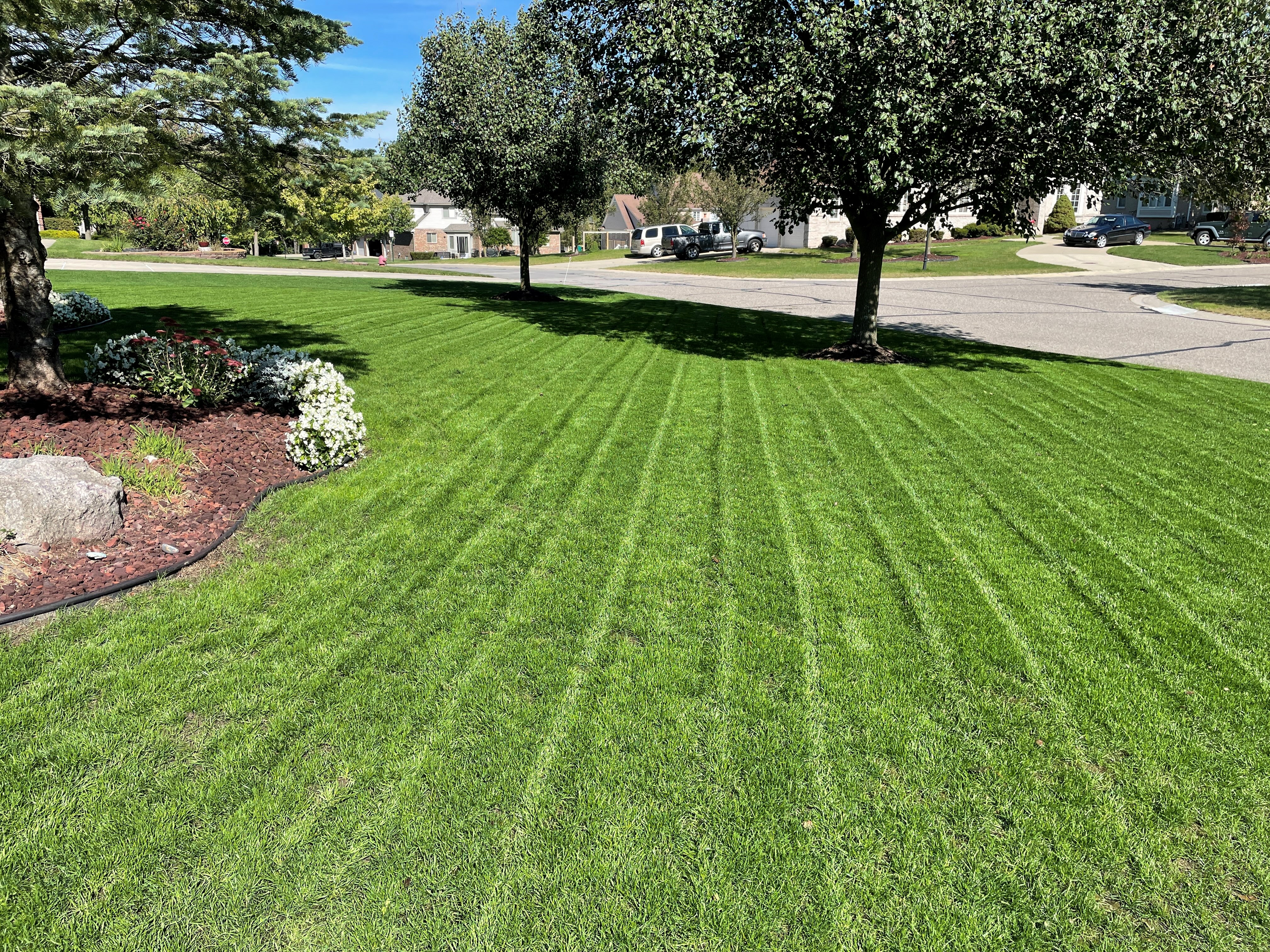 Preemergence Weed Control