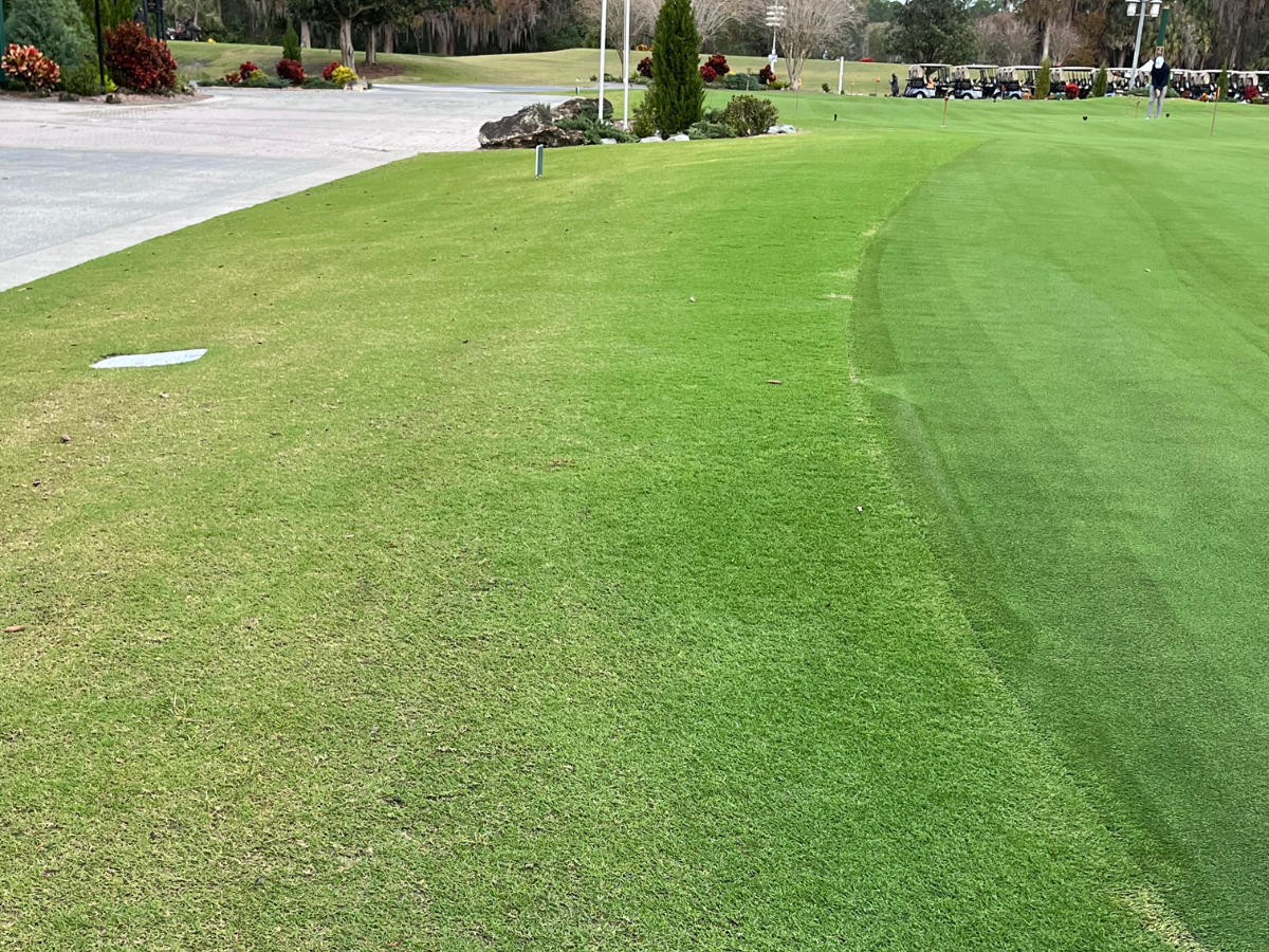 Putting Green Applied vs Not Applied PAR® SG