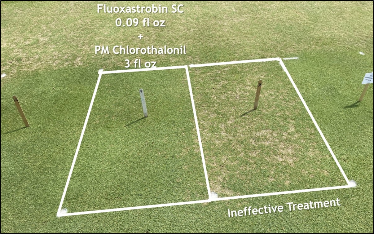 2024 Research Recap - A Few Highlights from the Harrell's Field Research Season