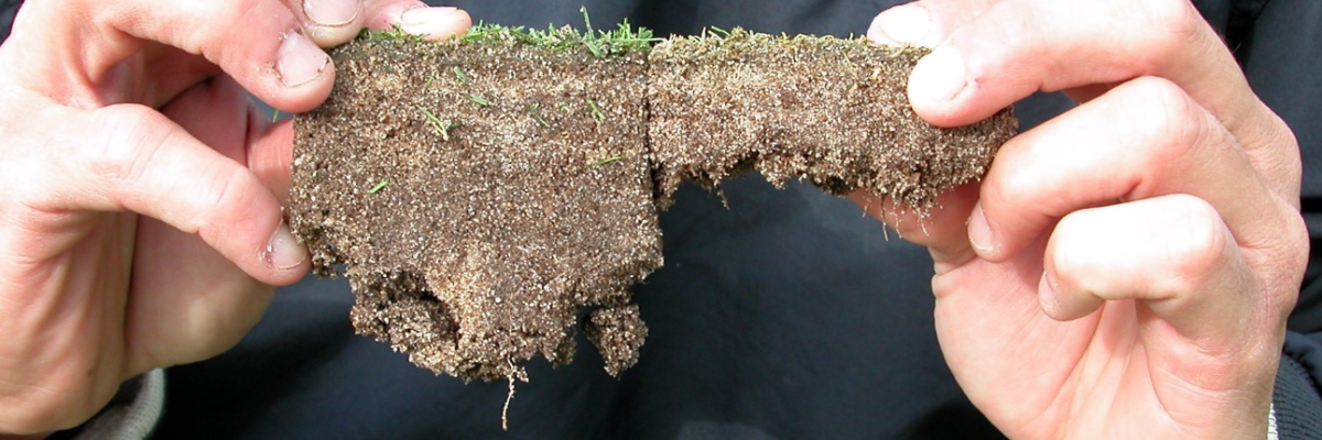 Root Fuel - Root Health Product Highlights