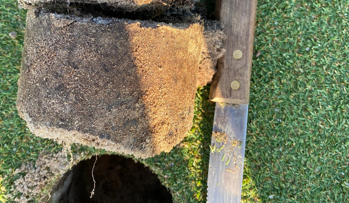 5 Tips for Soil Testing - Know Your Soil