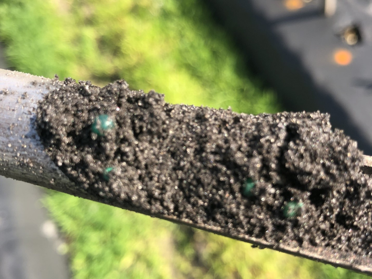 Soil Testing for Crop Productivity