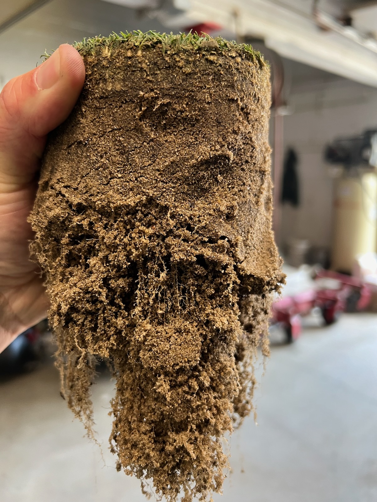 Root Health & Summer Stress Conditioning