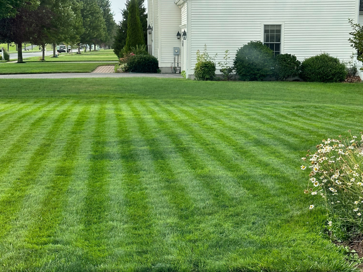 Maintaining Happy Lawncare Customers During Summer Stress