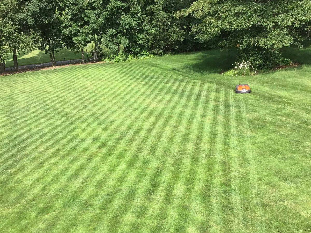 Maintaining Happy Lawncare Customers During Summer Stress