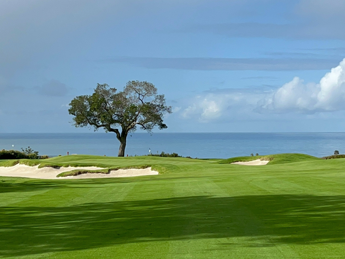 La Jolla Country Club - A Kikuyugrass Marvel