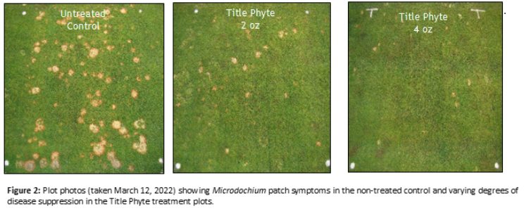 Microdochium Patch Control Using Title Phyte