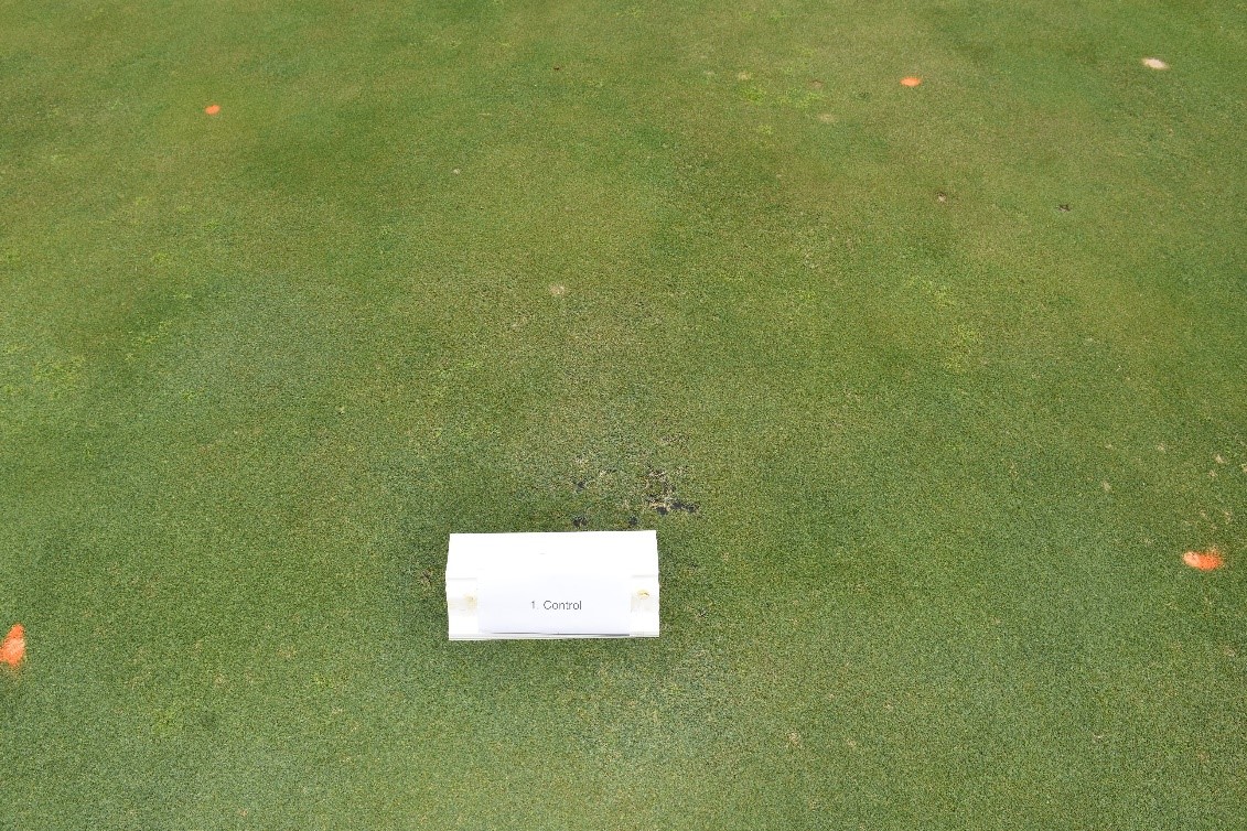 Wetting Agent Technologies and Strategies
