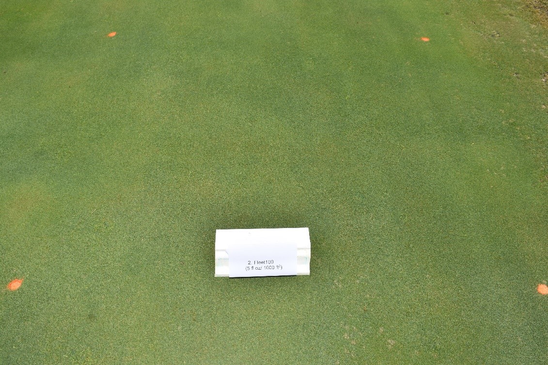 Wetting Agent Technologies and Strategies
