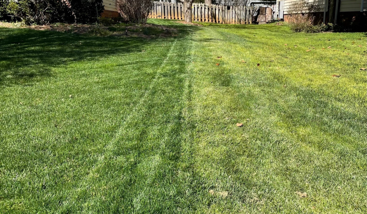 Winter Lawncare - How to Maximize Time