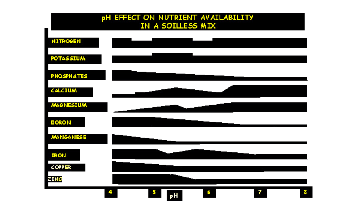 What You Need to Know About pH