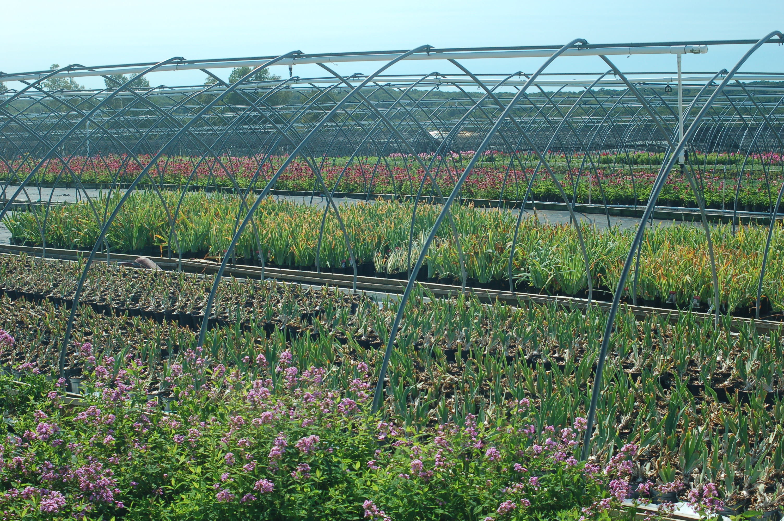 Plant Growth Regulators and Labor for Horticulture