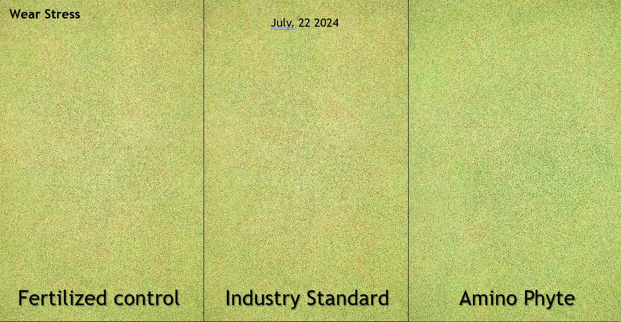 Figure 2:  Cumulative recovery from wear stress from May-Sep during in trial at Rutgers University (Top). Means followed by a different letter are significantly different according to Fisher’s LSD (P<0.05).  Plot photos from mid-summer around peak wear stress showing turf quality and density differences among treatments (bottom). 
