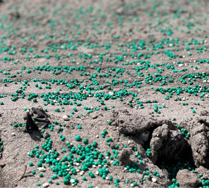 POLYON® Fertilizer Improves Corn Crop Production