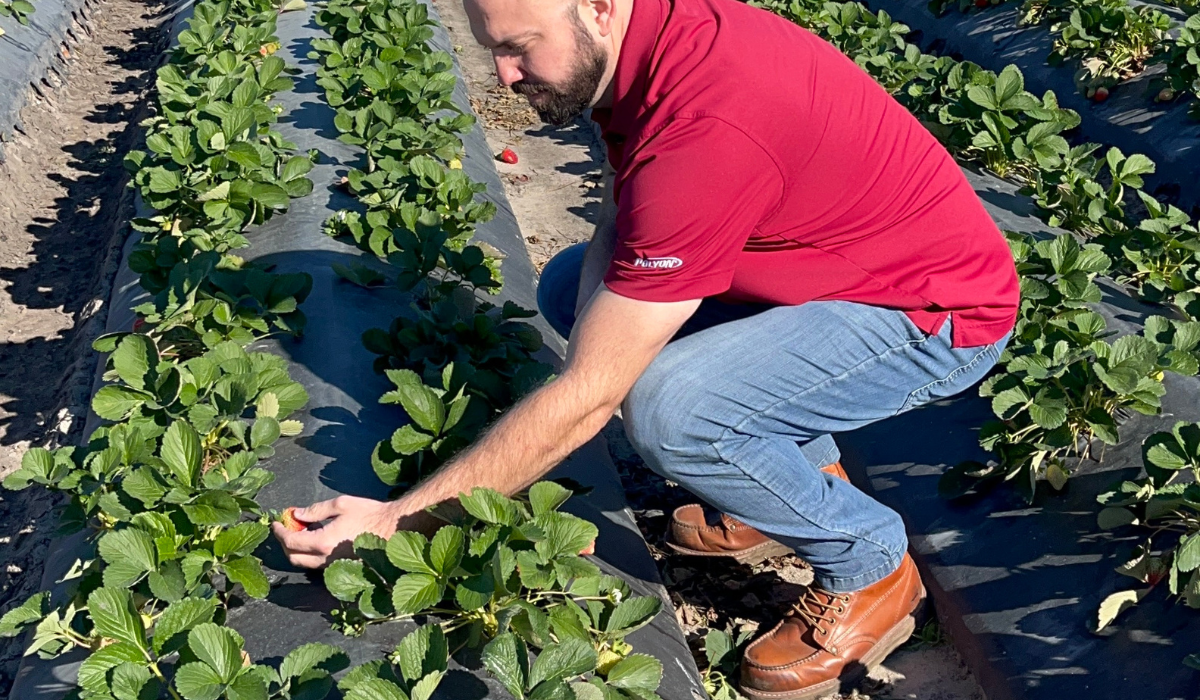 Meet Dr. Tom Reed - Harrell's Spec Ag Director of Agronomy