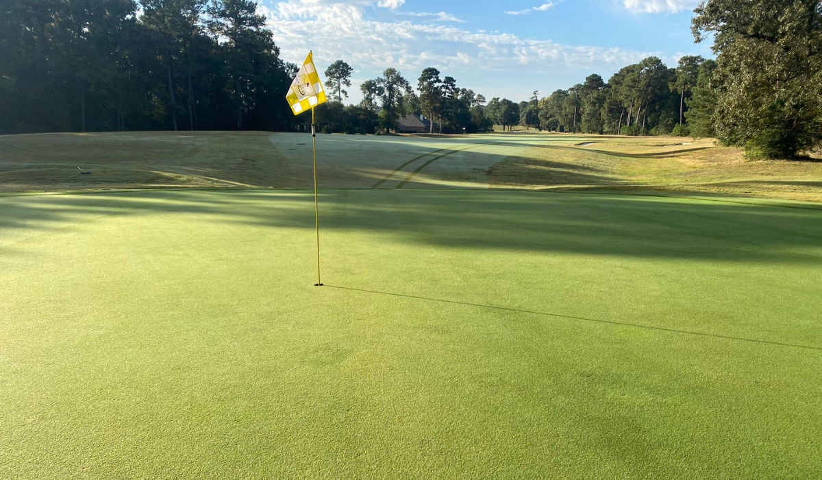 POLYON® Fertilizer: The Key to a Lush Spring Green-Up