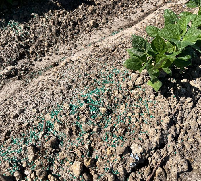 POLYON® Fertilizer Benefits Farmers