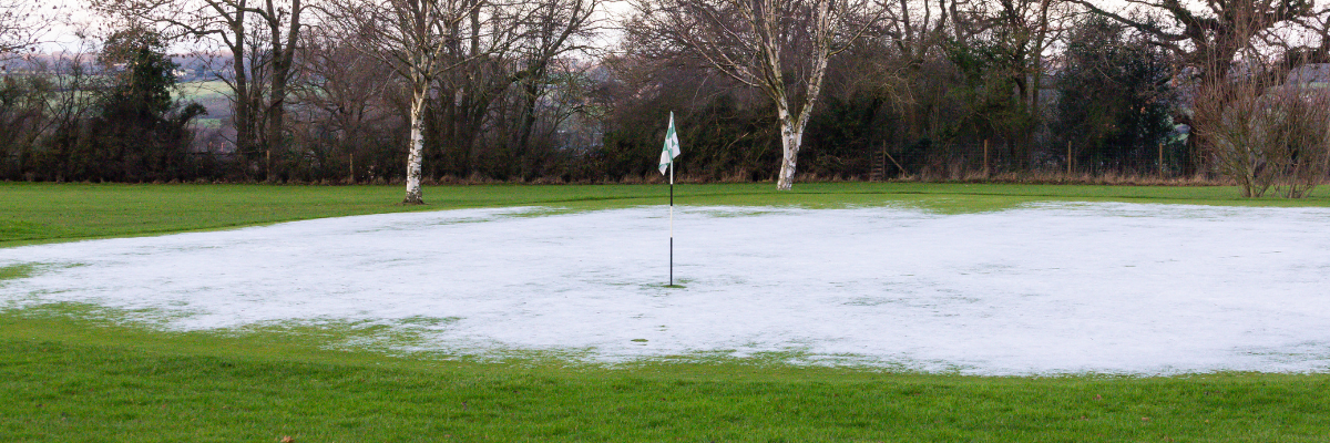 Preventing Winterkill with Winter Prep Through the Season