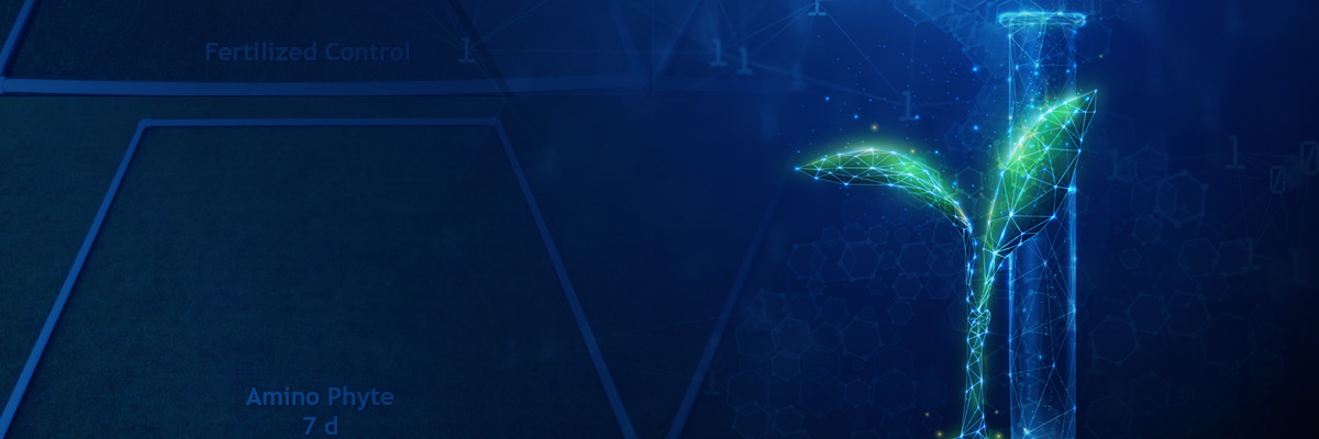 2024 Plant Health Trials with Harrell's 