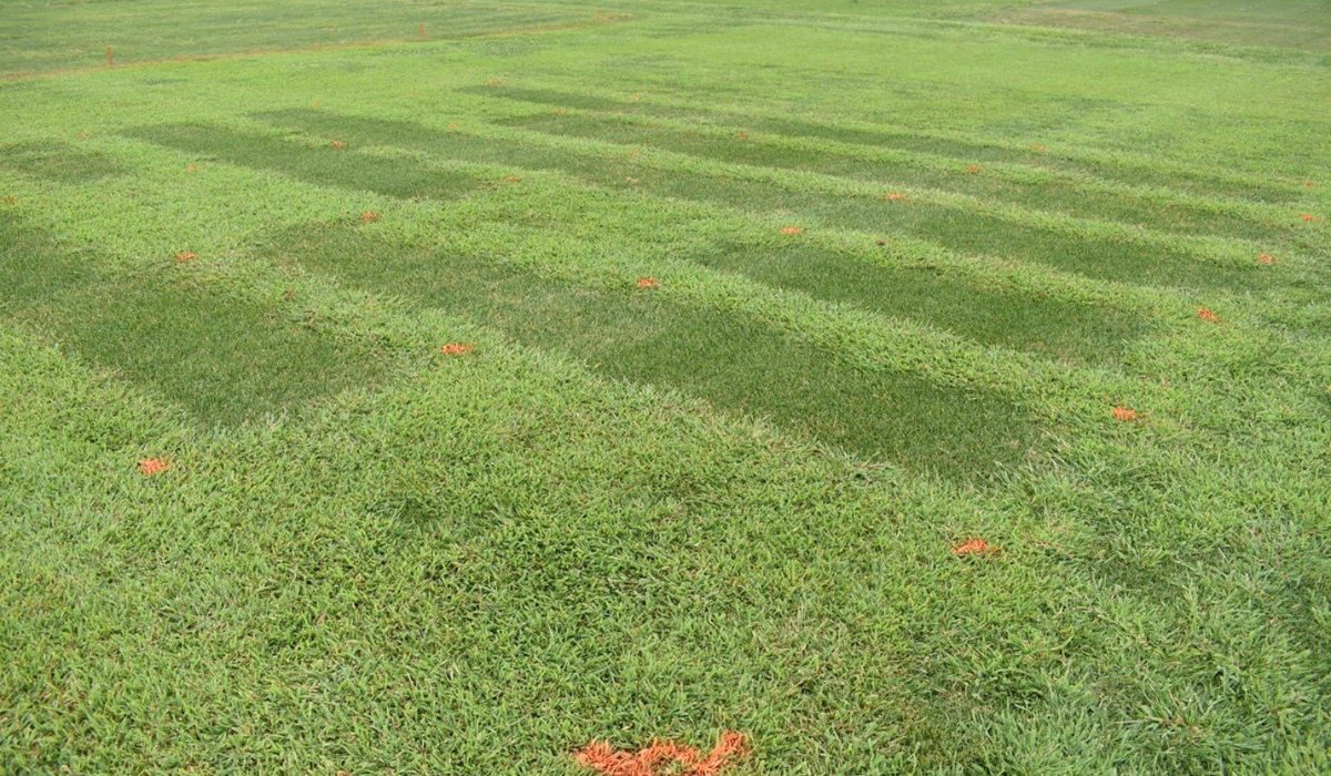 Preemergence Herbicide Fertilizer Sparge Options