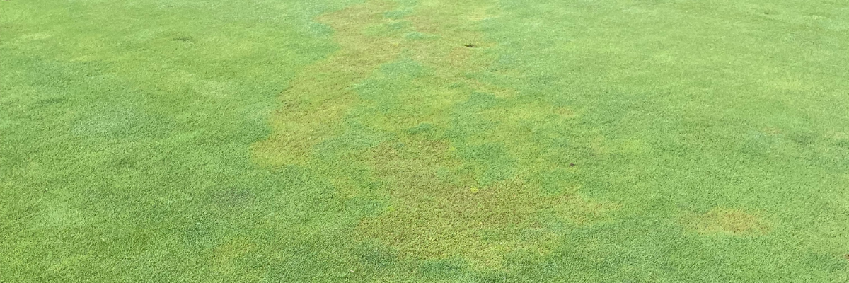 Top 4 Winter Diseases to Watch Out For
