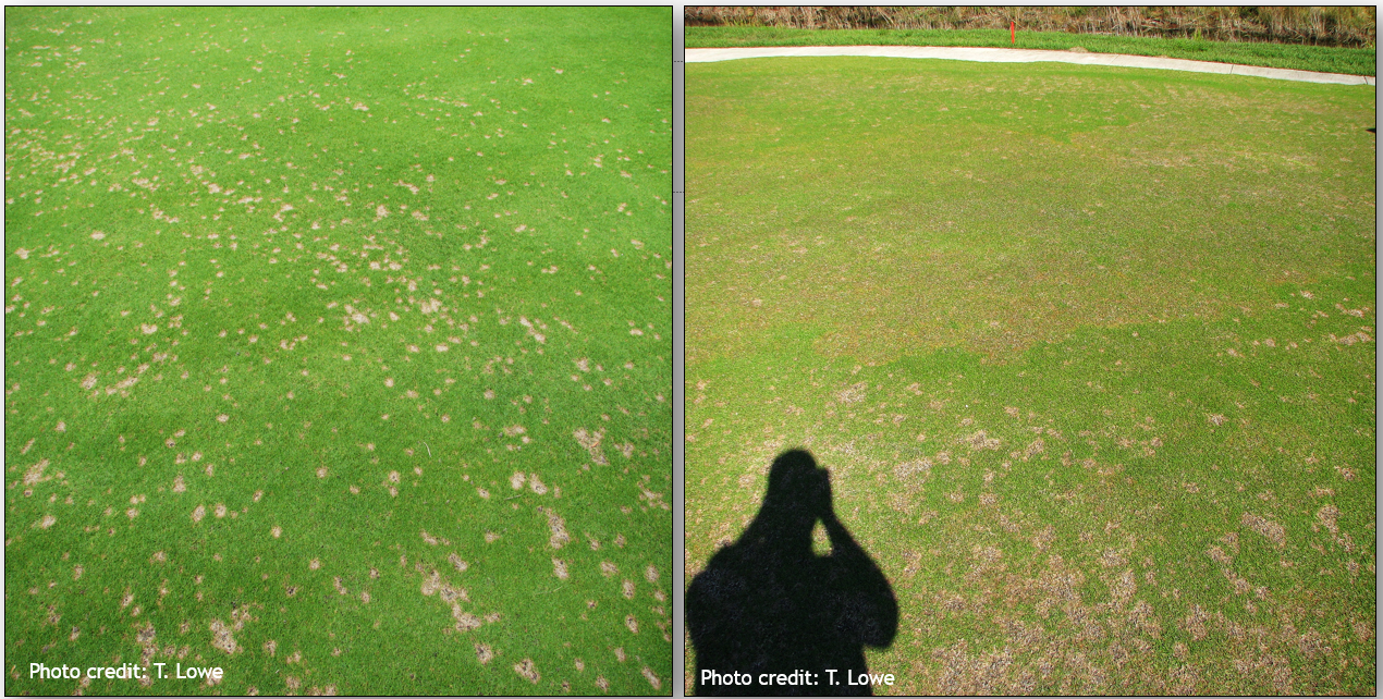 Top 4 Winter Diseases to Watch Out For