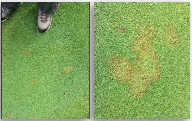 Top 4 Winter Diseases to Watch Out For