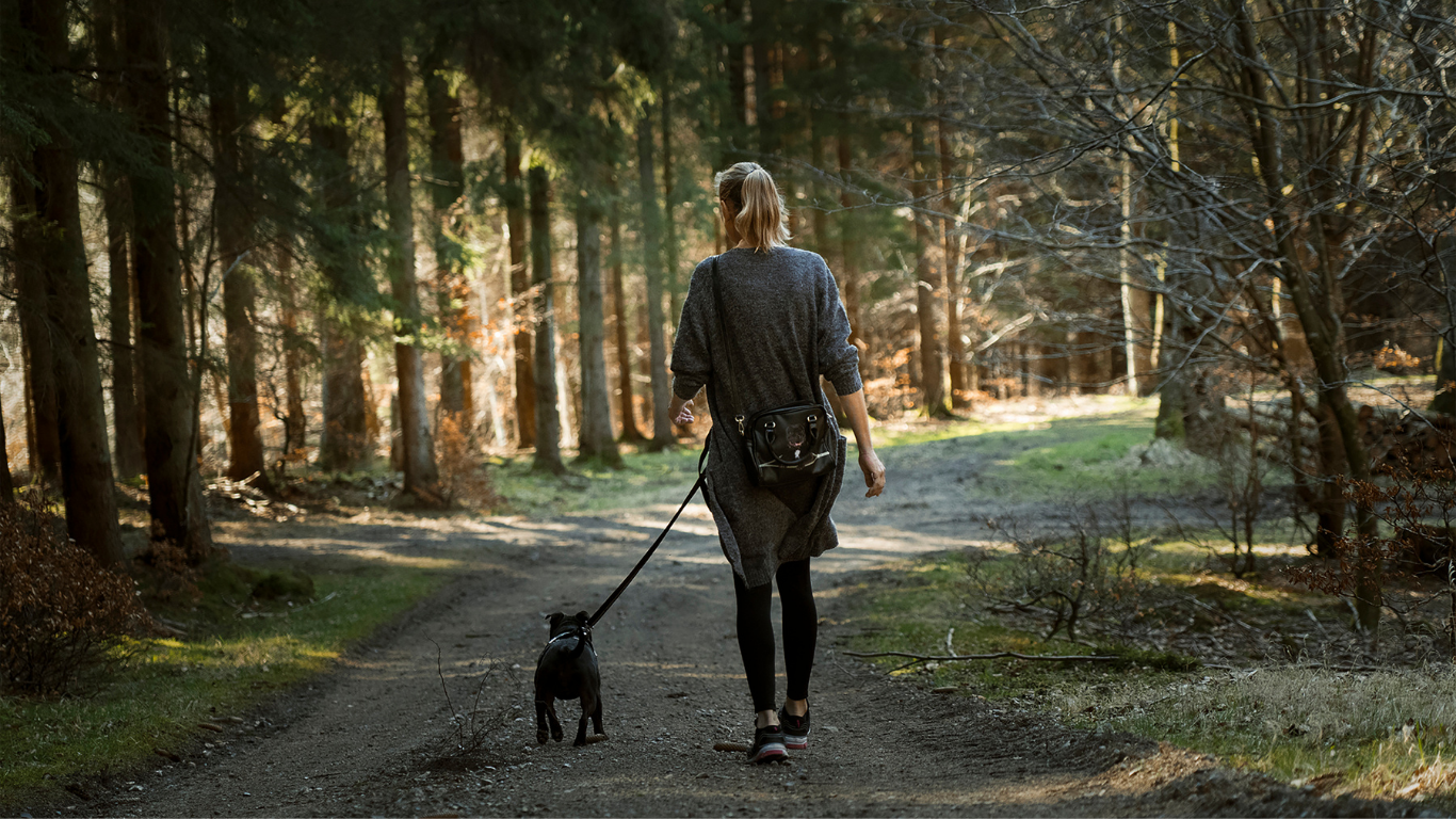 Dog Walking