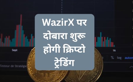 WazirX पर दोबारा शुरू होगी क्रिप्टो ट्रेडिंग, 30 दिन तक नहीं लगेगी फीस — जानिए पूरी डिटेल